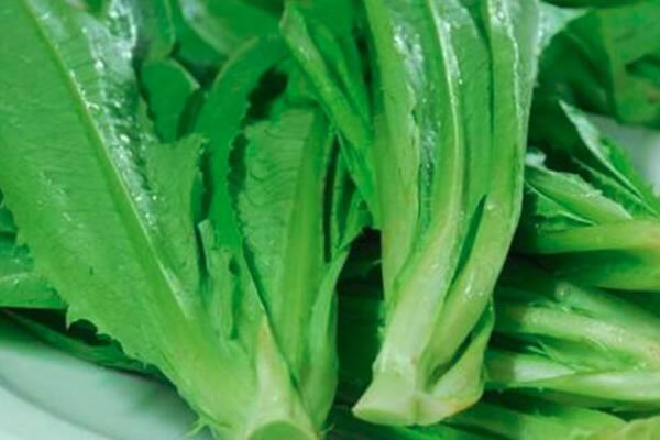 2019年重庆冬油菜生产呈现四高亮点