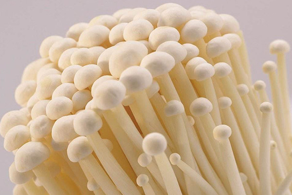 鲜金针菇图3-合序重庆蔬菜菌类配送中心