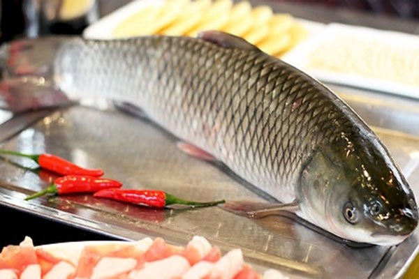 鱼肉-合序（重庆）鱼肉加工配送公司