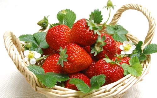 草莓-合序（重庆）草莓加工配送公司