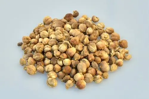 豆蔻-合序（重庆）豆蔻加工配送公司