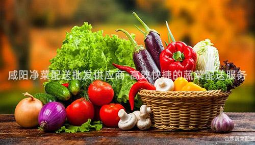 咸阳净菜配送批发供应商-高效快捷的蔬菜配送服务