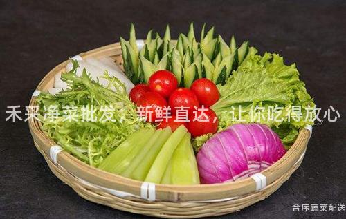 禾采净菜批发，新鲜直达，让你吃得放心
