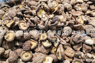 哪个批发市场有净菜？快来看这份详细清单！