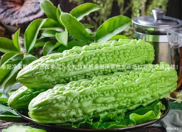 阜阳净菜批发市场在哪儿？全方位解析阜阳净菜批发市场位置及交通路线！