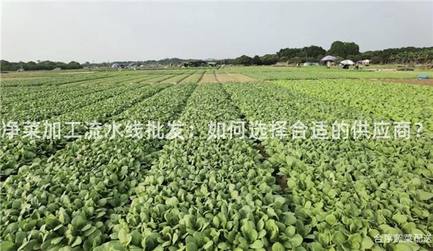 净菜加工流水线批发：如何选择合适的供应商？
