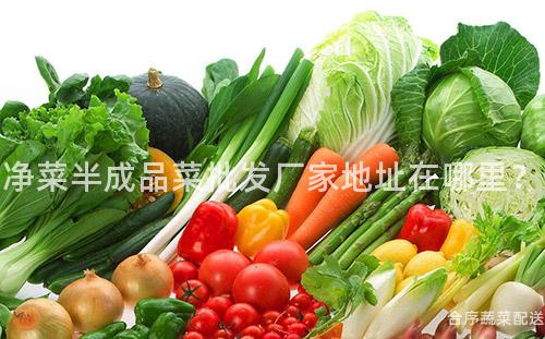 净菜半成品菜批发厂家地址在哪里？