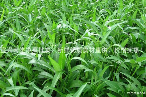 宜兴肉类净菜批发，新鲜优质食材直供，价格实惠！