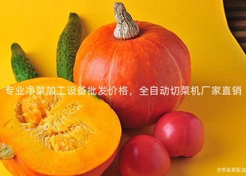 专业净菜加工设备批发价格，全自动切菜机厂家直销