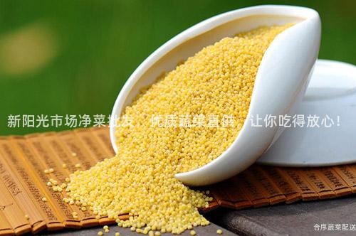 新阳光市场净菜批发，优质蔬菜直供，让你吃得放心！