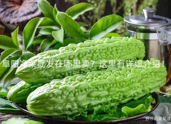 阜阳净菜批发在哪里卖？这里有详细介绍！