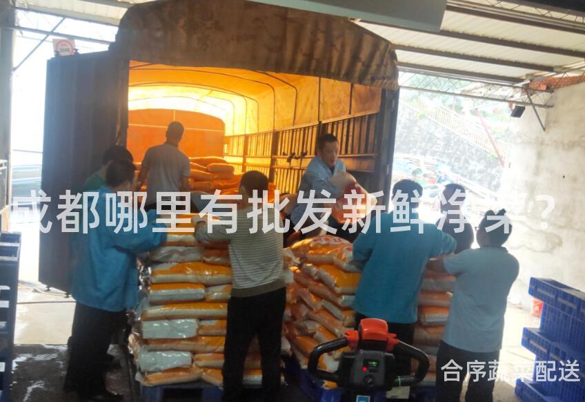 成都哪里有批发新鲜净菜？