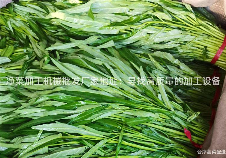 净菜加工机械批发厂家地址：寻找高质量的加工设备