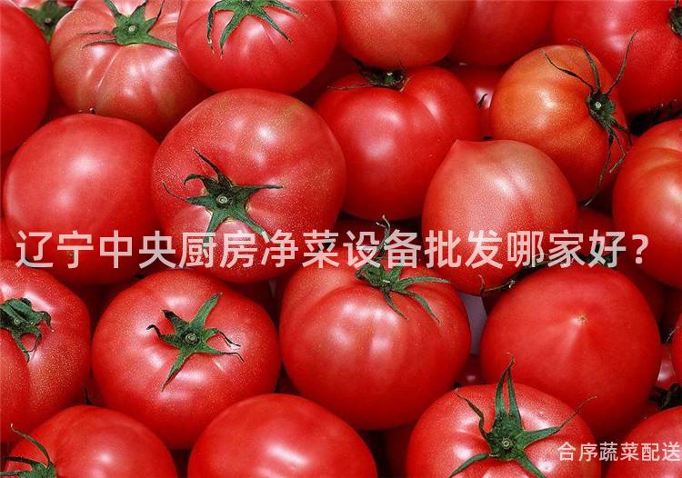 辽宁中央厨房净菜设备批发哪家好？