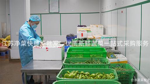 江苏净菜快捷菜批发，优质新鲜蔬菜一站式采购服务