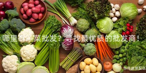 哪里有净菜批发？寻找最优质的批发商！