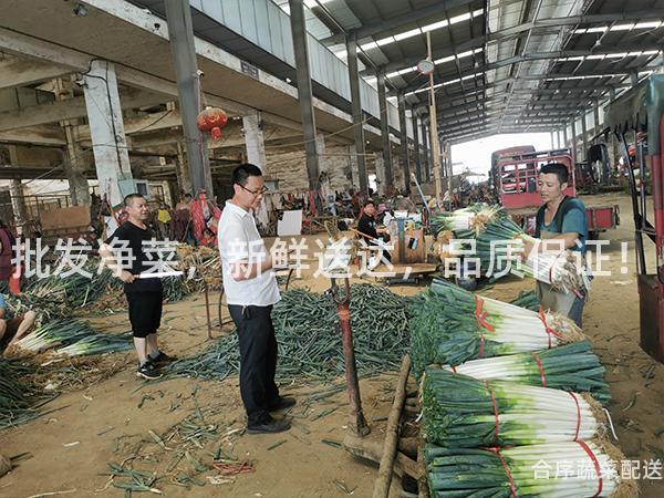 批发净菜，新鲜送达，品质保证！