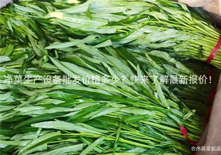 净菜生产设备批发价格多少？快来了解最新报价！
