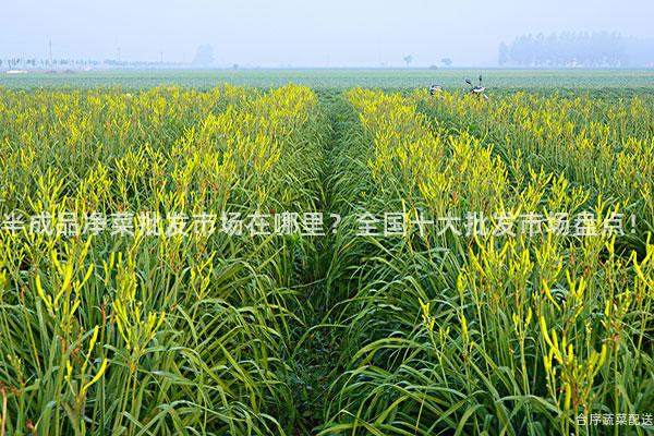 半成品净菜批发市场在哪里？全国十大批发市场盘点！