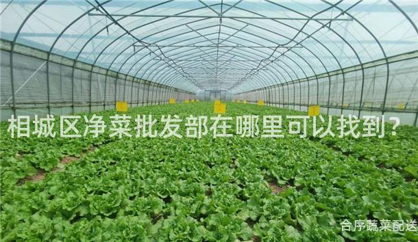 相城区净菜批发部在哪里可以找到？