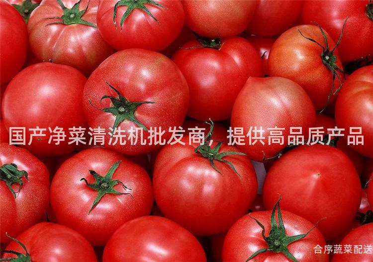 国产净菜清洗机批发商，提供高品质产品