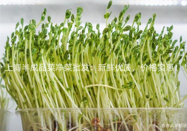 上海半成品菜净菜批发：新鲜优质，价格实惠！