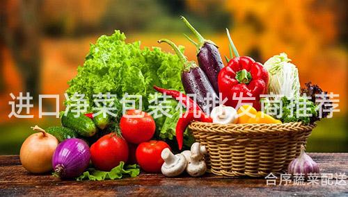 进口净菜包装机批发商推荐