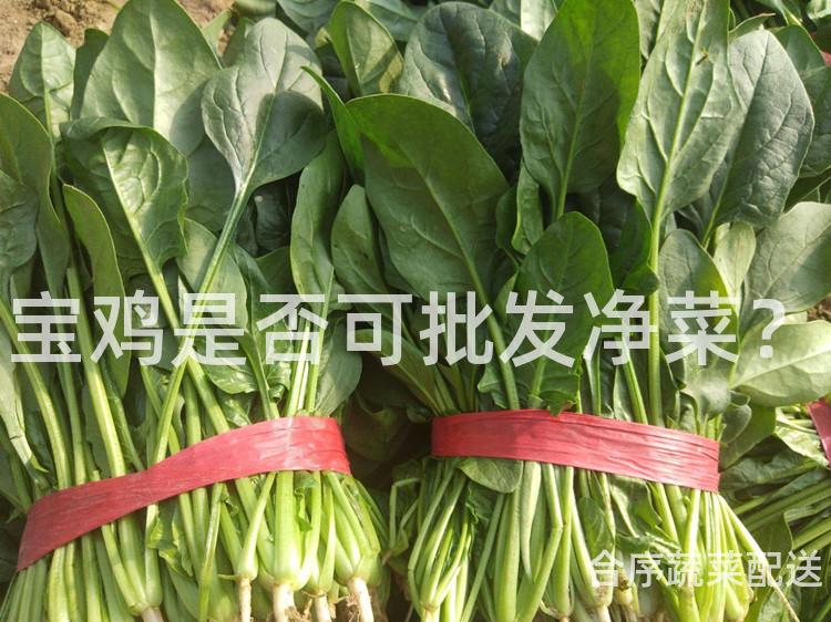 宝鸡是否可批发净菜？