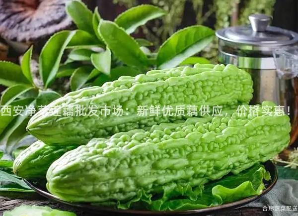 西安净菜莲藕批发市场：新鲜优质藕供应，价格实惠！