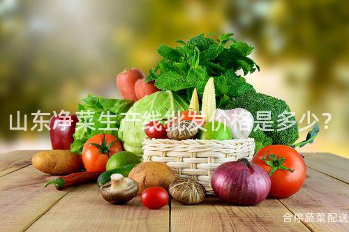 山东净菜生产线批发价格是多少？