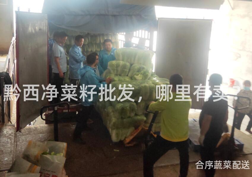 黔西净菜籽批发，哪里有卖？