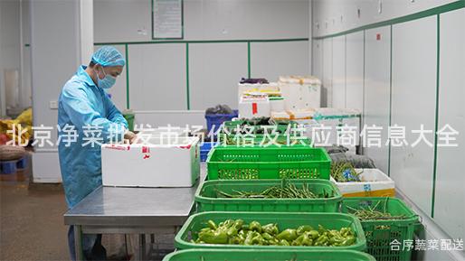 北京净菜批发市场价格及供应商信息大全