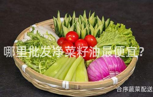 哪里批发净菜籽油最便宜？