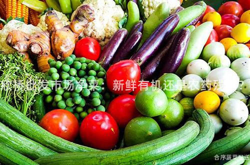 欣桥批发市场净菜：新鲜有机还是农药残留？