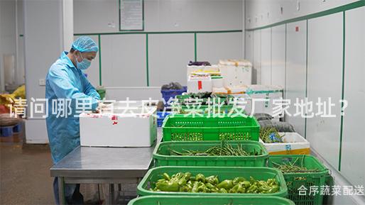 请问哪里有去皮净菜批发厂家地址？