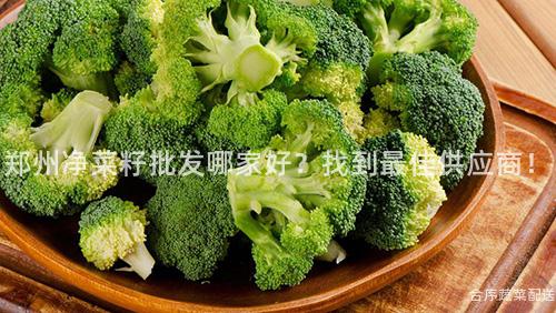 郑州净菜籽批发哪家好？找到最佳供应商！