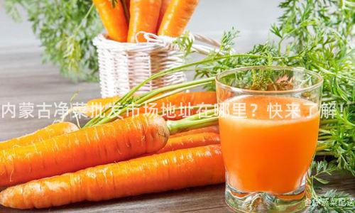 内蒙古净菜批发市场地址在哪里？快来了解！