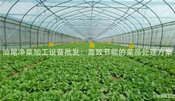 汕尾净菜加工设备批发：高效节能的菜品处理方案