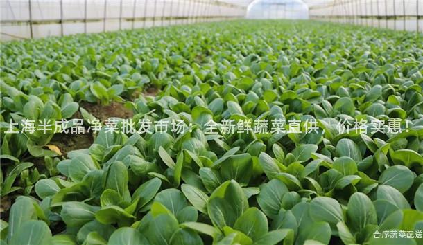 上海半成品净菜批发市场：全新鲜蔬菜直供，价格实惠！