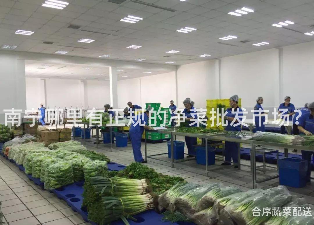 南宁哪里有正规的净菜批发市场？
