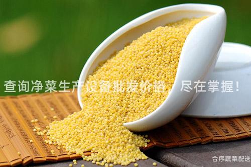 查询净菜生产设备批发价格，尽在掌握！