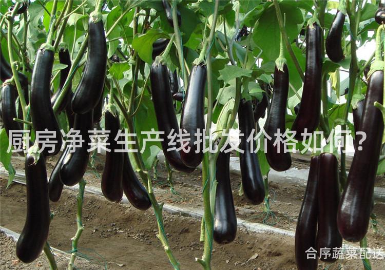 厨房净菜生产线批发价格如何？