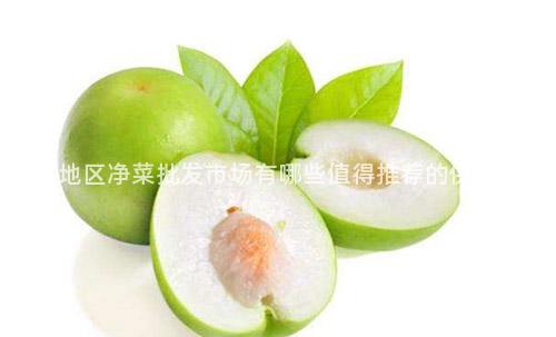 南京地区净菜批发市场有哪些值得推荐的供应商？