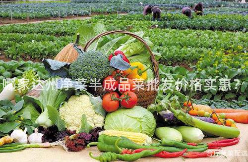 哪家达州净菜半成品菜批发价格实惠？