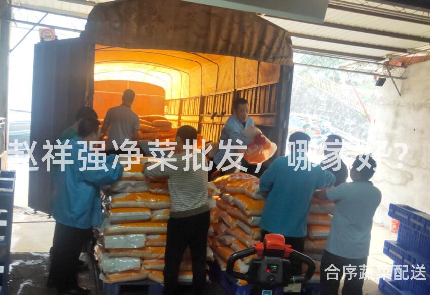 赵祥强净菜批发，哪家好？
