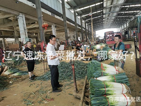 辽宁速冻净菜批发，哪家好？