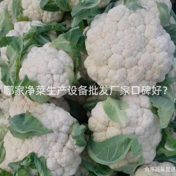 哪家净菜生产设备批发厂家口碑好？