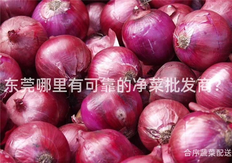 东莞哪里有可靠的净菜批发商？