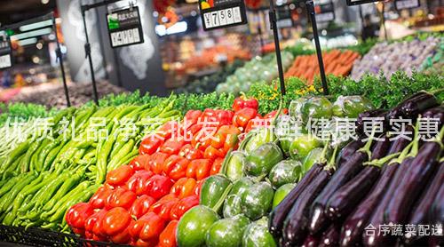 优质礼品净菜批发，新鲜健康更实惠