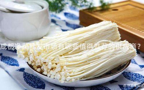 成都净菜批发市场有哪些值得推荐的供应商？